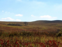 Prairie in Autumn