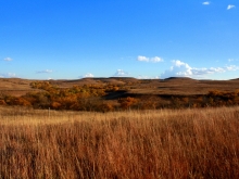 Prairie in Autumn